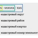 Как узнать кадастровый номер объекта. Инструкция.